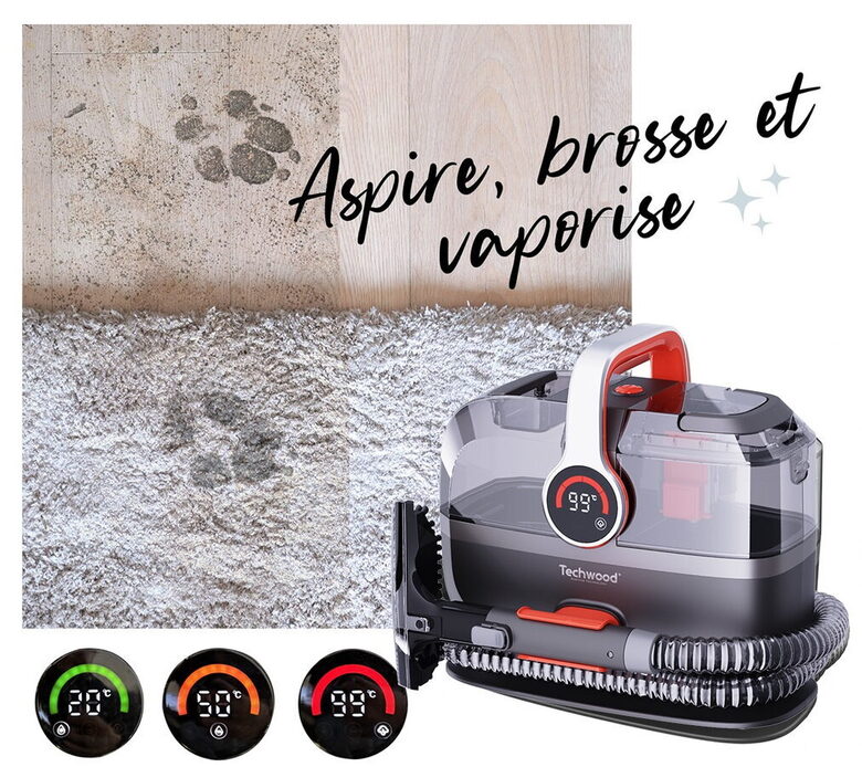 Techwood TAN7055V parní tepovač